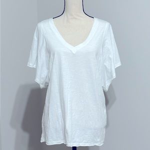 Medium Flutter Sleeve V Neck